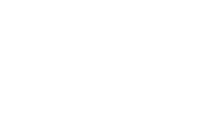 Spelinspektioen